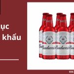 Thủ tục nhập khẩu bia